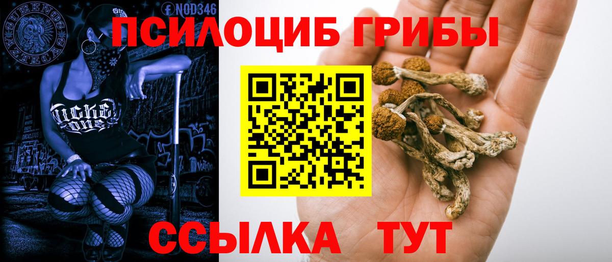 Белогорск  Псилоцибиновые грибы Magic Shrooms  Псилоцибиновые грибы ЛСД  Вход с VPN 